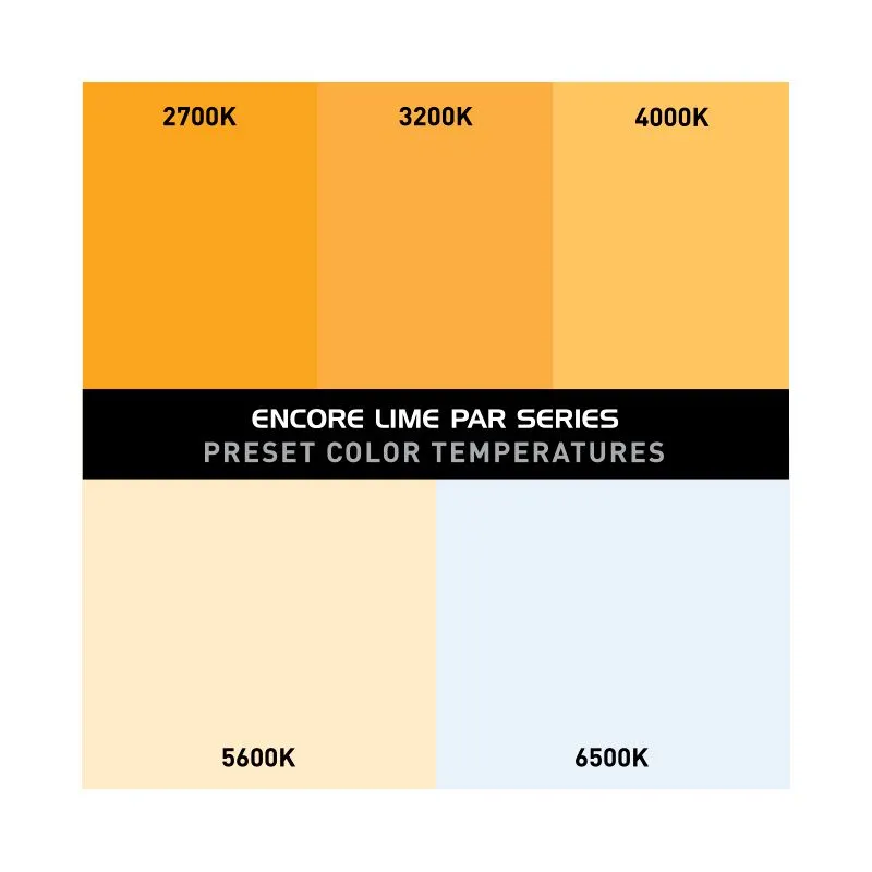 American DJ ENCORE-LP12IP Encore LP12IP Heavy-Duty IP65 Outdoor Rated RBGL LED Par