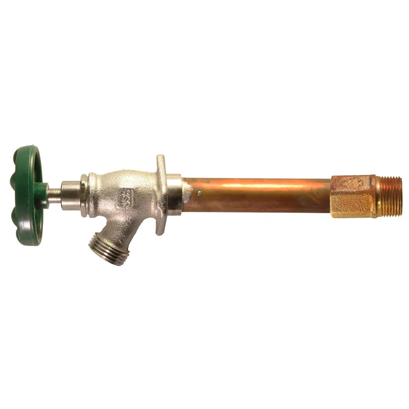 Arrowhead 3/4 in. MHT X 3/4 in. MIP Brass Hydrant