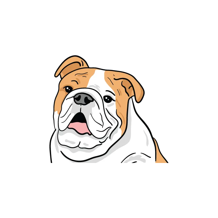 Bulldog